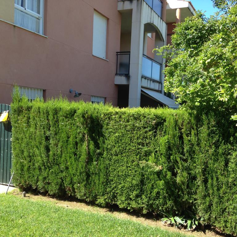 Divi Apartments Costa Ballena Exterior photo